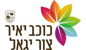 ללא שם (298 x 174 פיקסל) (14)